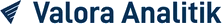 Valora Analitik